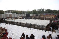 Pushpa 2 WildFire JAthara Photos Set 1